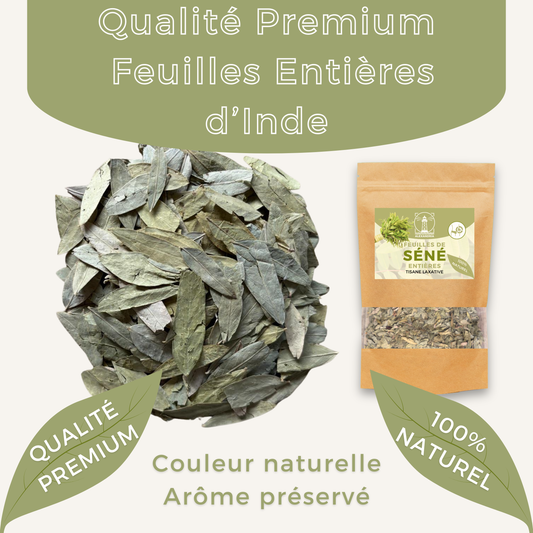 Feuilles de Séné 100g — Senna Alexandrina | Tisane Laxative Naturelle | Détox Côlon & Transit Intestinal