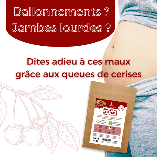 Queues de Cerises — Tisane Drainante & Détox | 100g