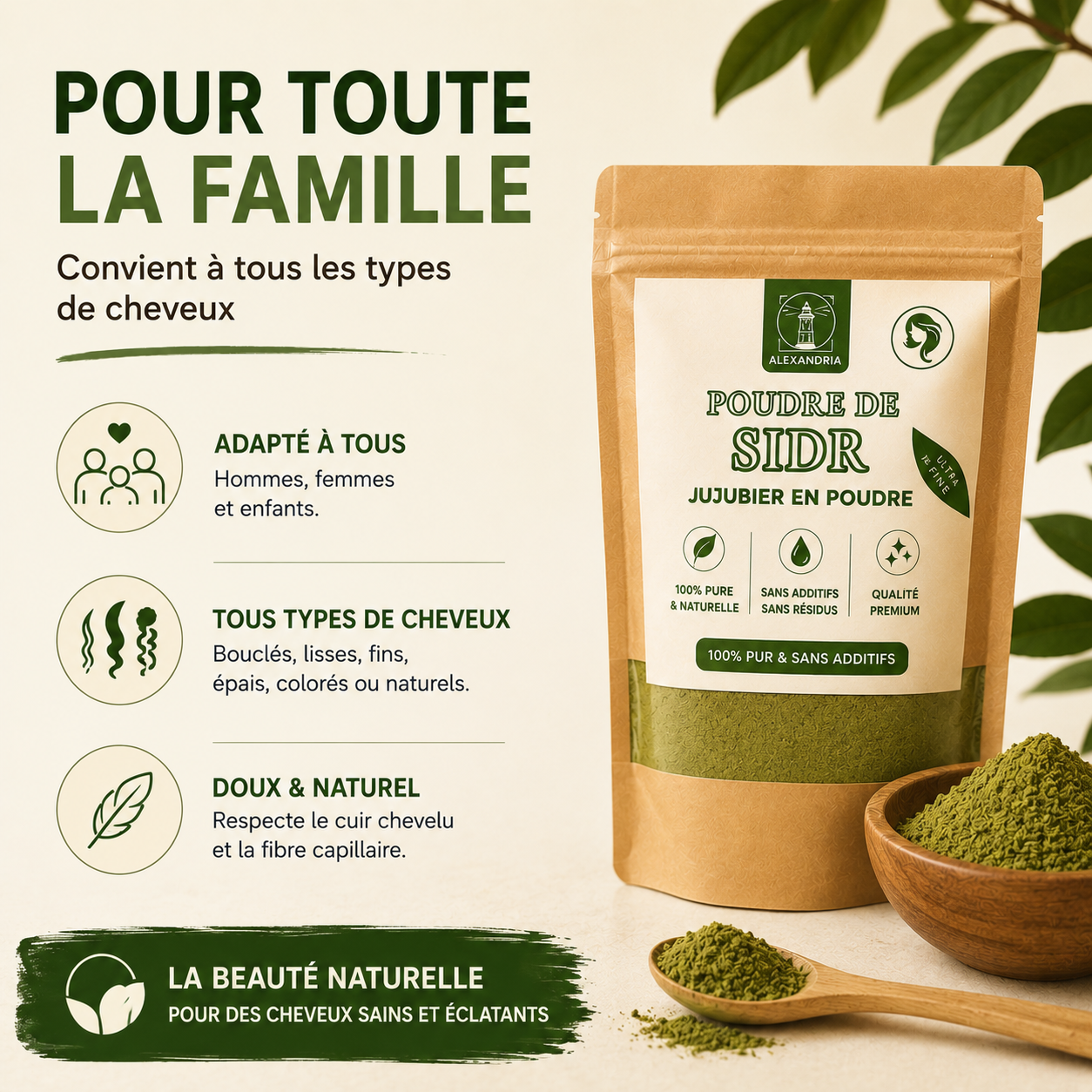 Poudre de Sidr — Jujubier du Maroc | Shampoing Végétal No-Poo