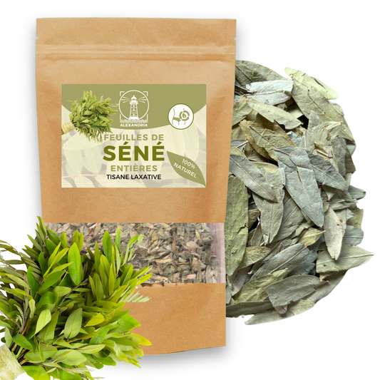 Feuilles de Séné 100g — Senna Alexandrina | Tisane Laxative Naturelle | Détox Côlon & Transit Intestinal