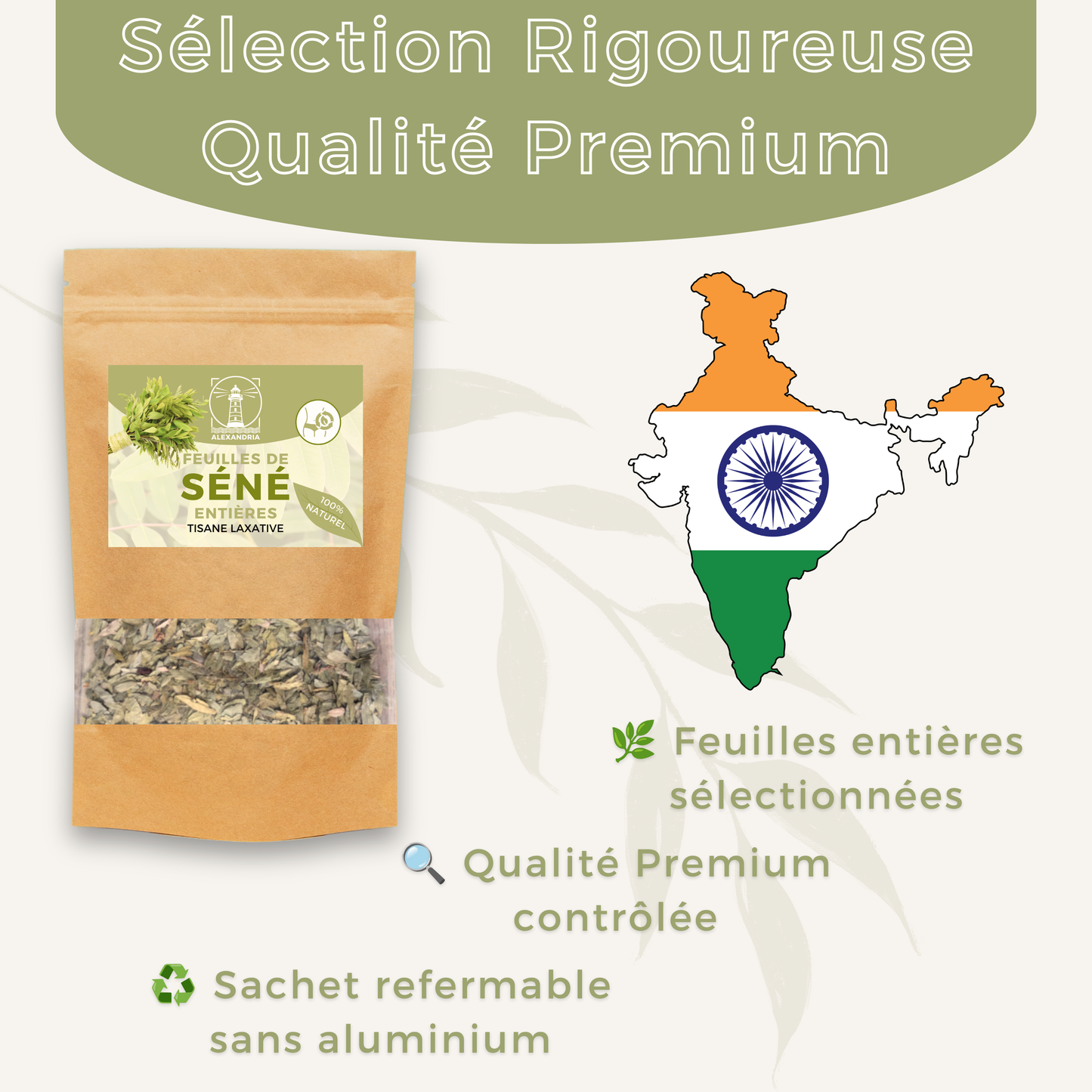 Feuilles de Séné 100g — Senna Alexandrina | Tisane Laxative Naturelle | Détox Côlon & Transit Intestinal