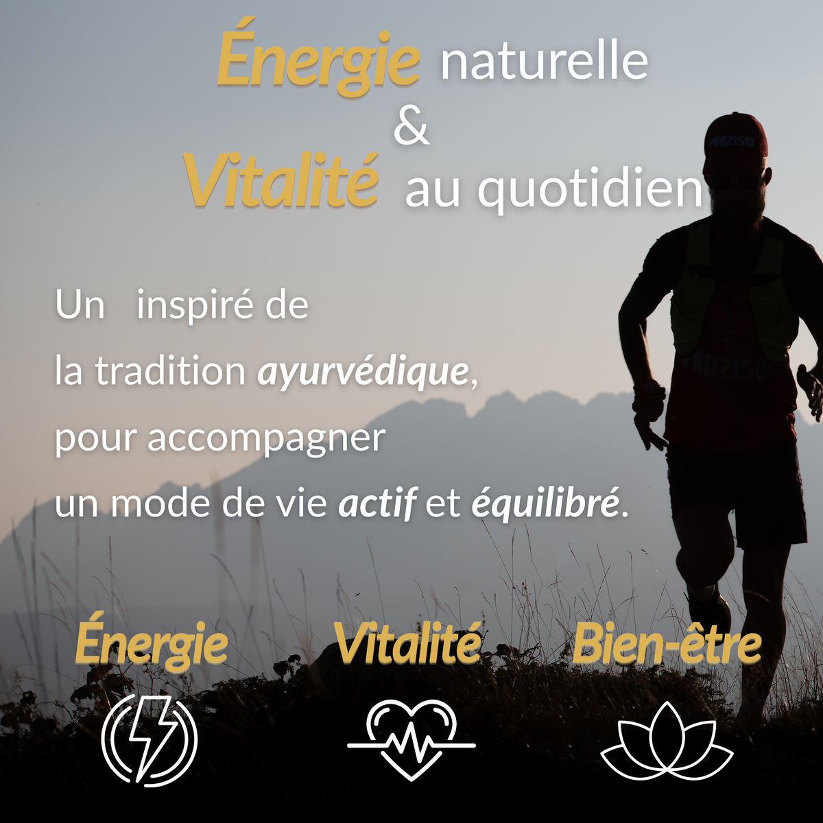 Shilajit Pur de l'Himalaya | Énergie, Vitalité & Focus | 60 Gélules Vegan — Corpus Mentis