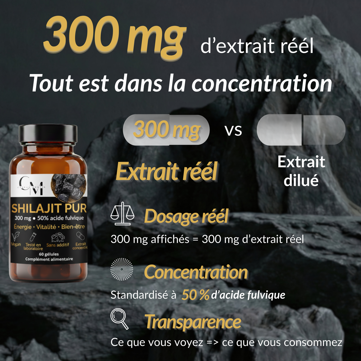 Shilajit Pur de l'Himalaya | Énergie, Vitalité & Focus | 60 Gélules Vegan — Corpus Mentis