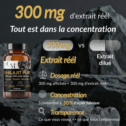 Shilajit Pur de l'Himalaya | Énergie, Vitalité & Focus | 60 Gélules Vegan — Corpus Mentis