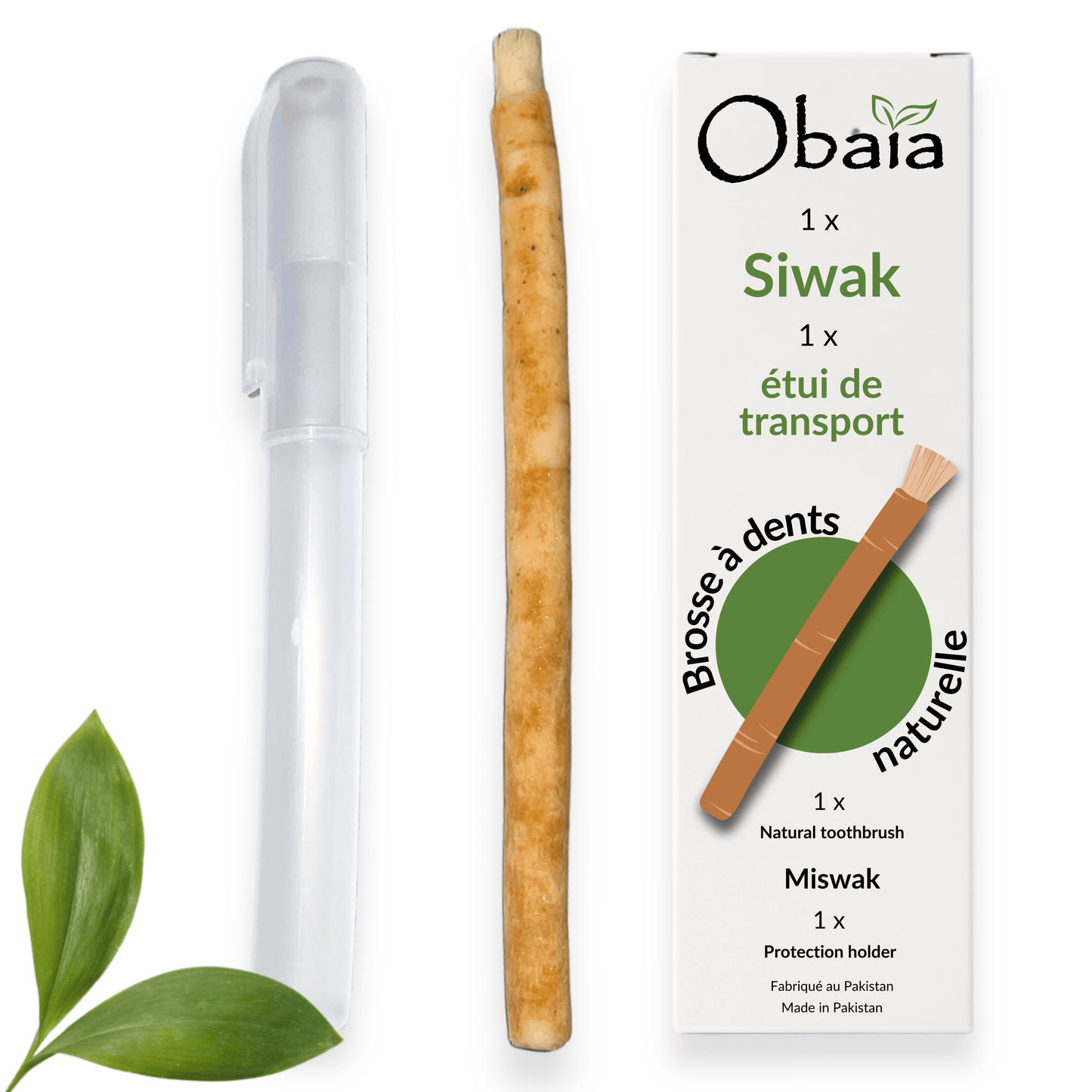 Bâton de Siwak + Étui — Brosse à Dents Naturelle Bois d'Araq | Miswak Blanchiment Dentaire