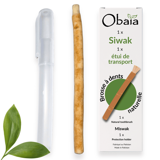 Bâton de Siwak + Étui — Brosse à Dents Naturelle Bois d'Araq | Miswak Blanchiment Dentaire