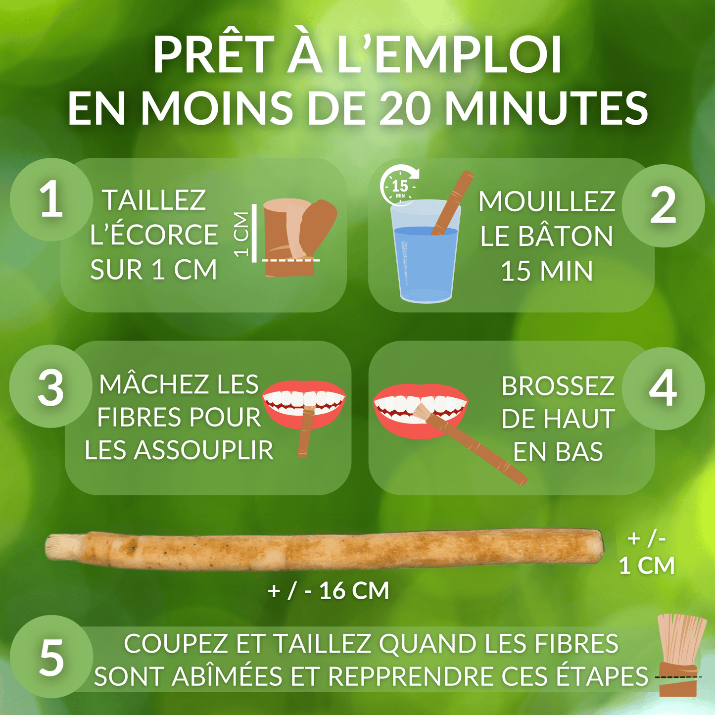 Lot de 5 Bâtons de Siwak + Étui — Brosse à Dents Naturelle Bois d'Araq | Miswak Blanchiment Dentaire