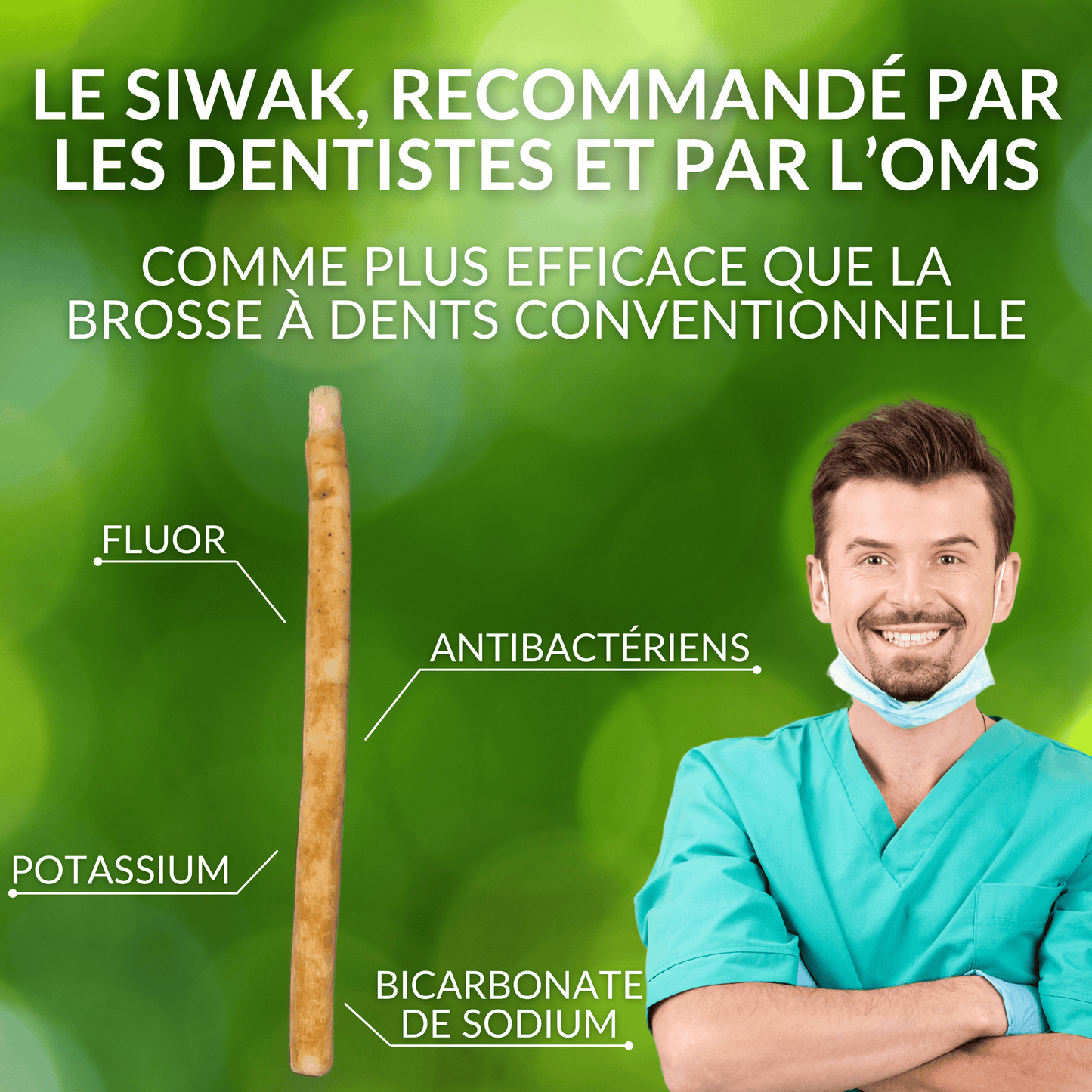 Lot de 8 Bâtons de Siwak — Format Économique | Brosse à Dents Naturelle Bois d'Araq | Miswak