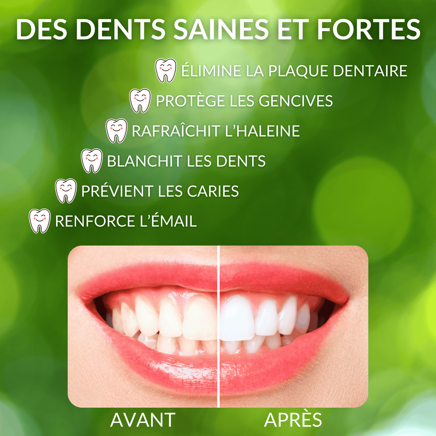 Lot de 5 Bâtons de Siwak + Étui — Brosse à Dents Naturelle Bois d'Araq | Miswak Blanchiment Dentaire