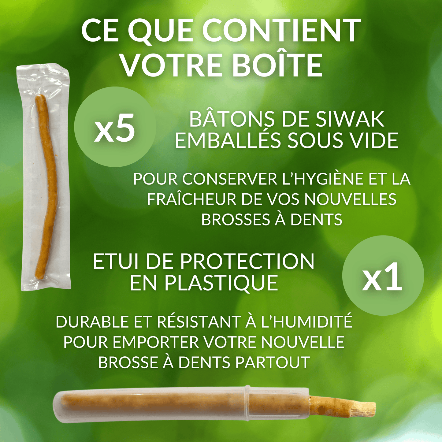 Lot de 5 Bâtons de Siwak + Étui — Brosse à Dents Naturelle Bois d'Araq | Miswak Blanchiment Dentaire
